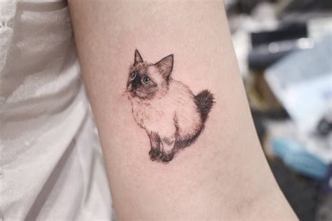 Ragdoll Kitty By Vinktattoohk Hk Via Tattoofilter For More