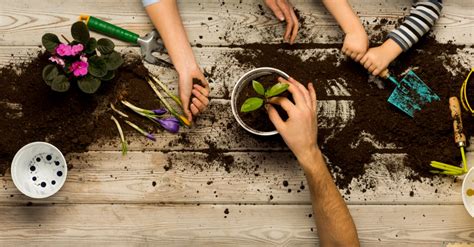 Paris : cours de jardinage gratuits - Vivre paris