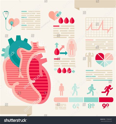 Human Heartinfographic Healthcare Stock Vector Royalty Free 179084807