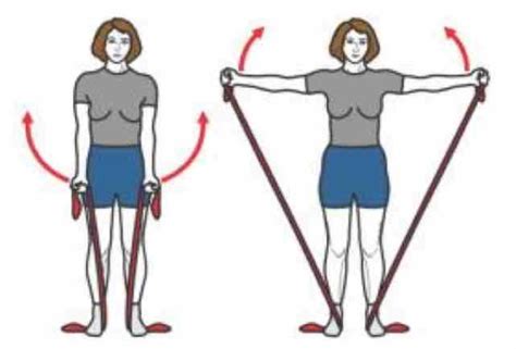 5 exercices avec elastiband pour muscler l ensemble de son corps