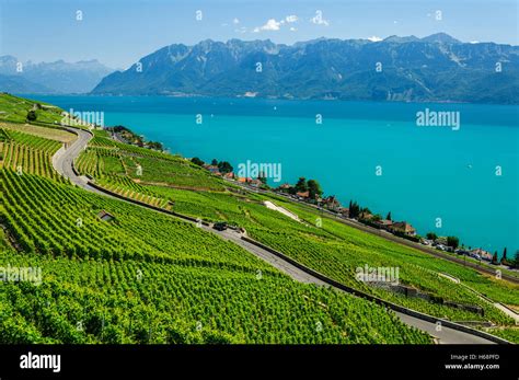 The Lavaux Vineyard Terraces Unesco World Heritage Site Near Lausanne