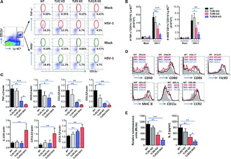dual tlr2 9 recognition of herpes simplex virus type 1 to promote the download scientific