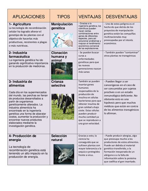 Cuadro Comparativo Ventajas Y Desventajas De La Manipulacion Genetica