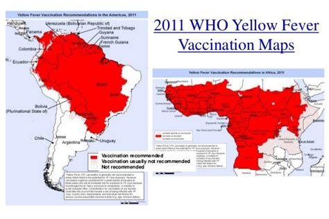 Yellow Fever Risk Mapping