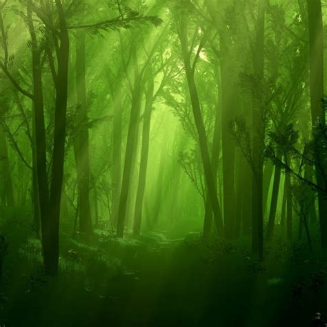 10 Most Popular Dark Green Forest Wallpaper Full Hd 1080p For Pc