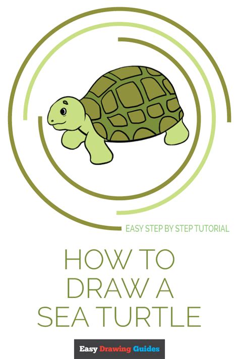 Polish your personal project or design with these hawksbill sea turtle transparent png images, make it even more personalized and more attractive. How To Draw A Sea Turtle Step By Step For Beginners