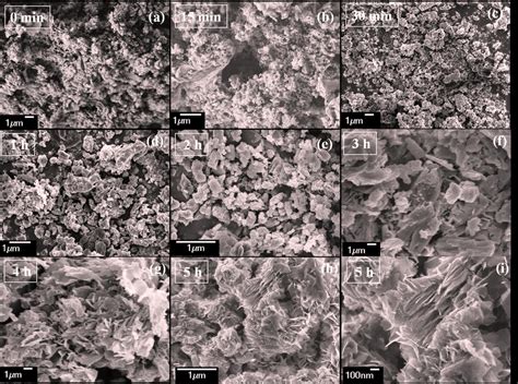 4 Fesem Images Of The As Prepared Samples Obtained At 120ºc For