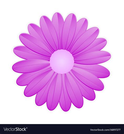 Purple Flower On White Background Royalty Free Vector Image