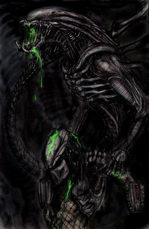 Who Won By Turbid D On Deviantart Predator Alien Art Alien Vs