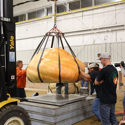 Pumpkin Weigh In Topsfield Fair