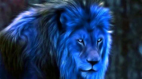 Blue Lion Wallpapers Top Free Blue Lion Backgrounds Wallpaperaccess