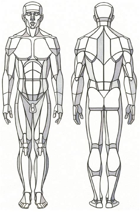 Anatomical Drawing Of Human Body ~ Human Body Outline Drawing Coloring