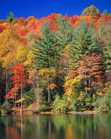 The 20 Best Places To See Fall Foliage In The United States Places To