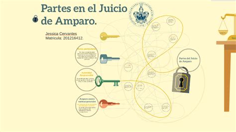 Partes En El Juicio De Amparo Coggle Diagram Gambaran