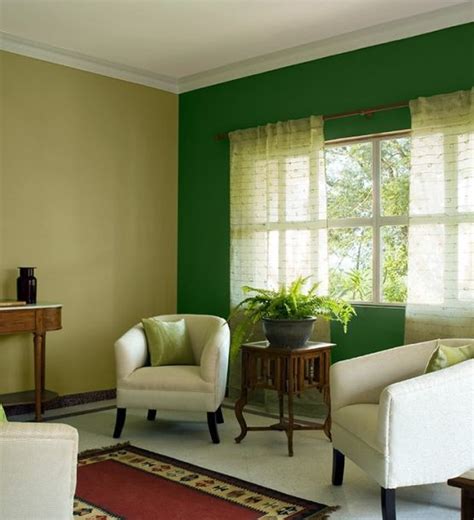 Asian Paints Wall Colours For Living Room Bryont Rugs And Livings