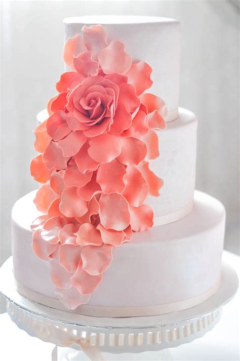 Coral Wedding Cakes Ruffle Cake Cake Decorating Instagram Posts