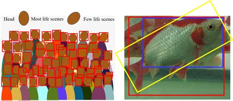 Characters Object Detection Dataset By Fish My Xxx Hot Girl