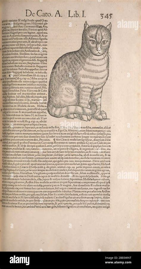 Historia Animalium History Of The Animals Published In 15511558