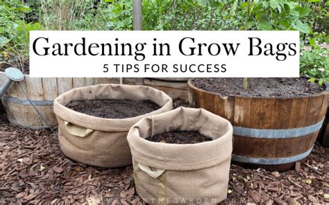 Gardening In Grow Bags 5 Tips For Success Growing In The Garden
