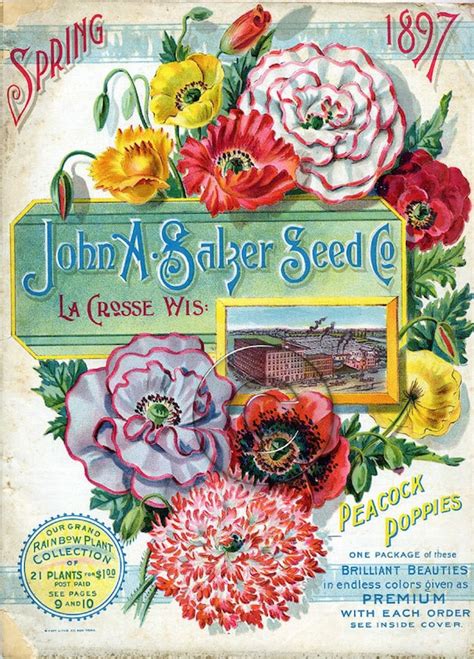 Vintage Seed Packet Digital Download Art File Print Floral