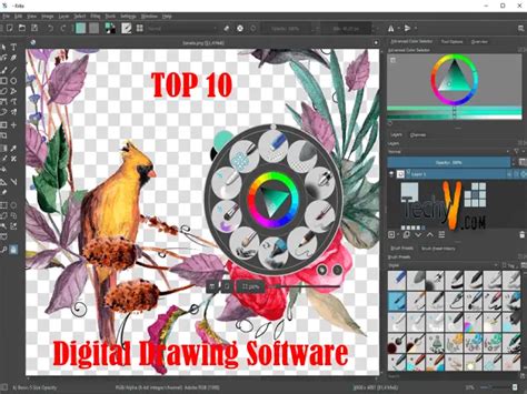 Top 10 Best Digital Drawing Software