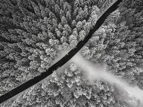 Wallpaper Winter Trees Aerial View Snow Road Forest Hd