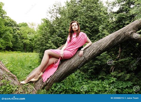 Young Woman Posing On A Tree Stock Image Image Of Pretty People