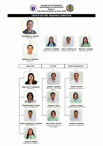 Deped Camsur Organizational Chart