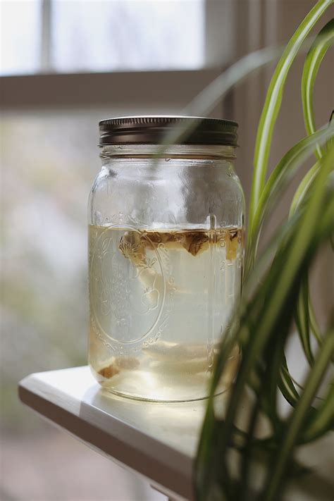 Naturally Fermented Soda Using A Ginger Bug — Simply
