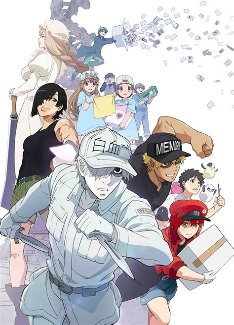 Hataraku Saibou Revela Los Detalles Del Blu Raydvd De Su Episodio