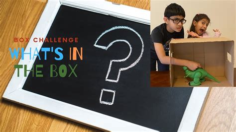 Whats In The Box Challenge A Fun Activity For Everyone Youtube
