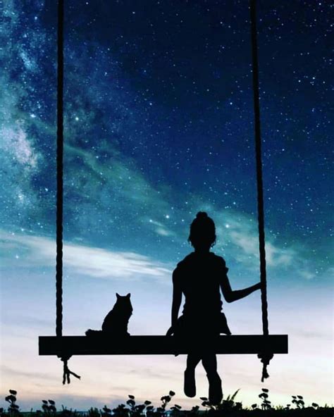 Girl On Swing Fantasy Sky Night Silhouette Cat Swing Space
