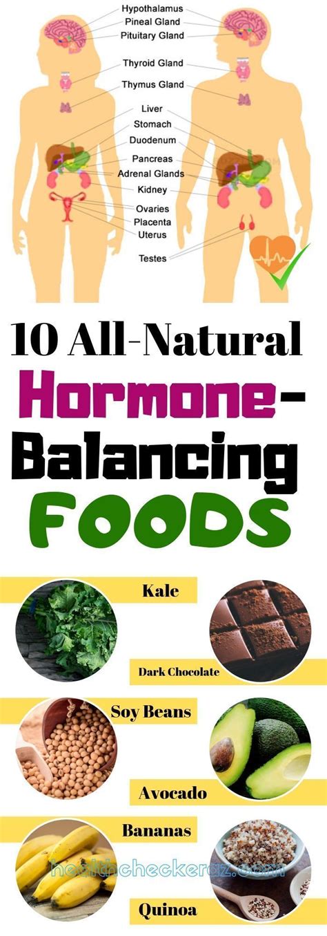 List Of Hormone In Lebensmittel Ideas Pawtz
