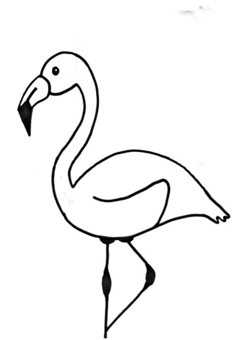 How To Draw A Flamingo Easy Step By Step Drawing Tutorial