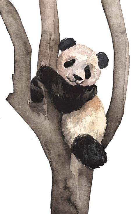 Watercolor Panda Art Cute Animals Illustration Bear Painting панда
