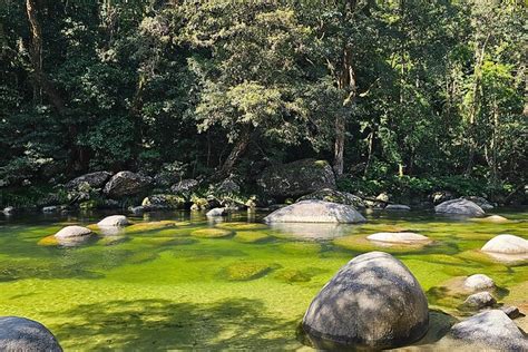 Daintree Rainforest Mossman Gorge Beach Day Tour W Aboriginals