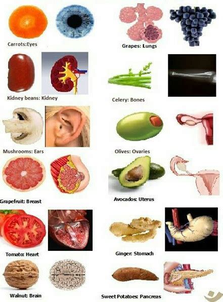 17 Foods That Resemble Your Body Parts And Their Benefits Dr Thind