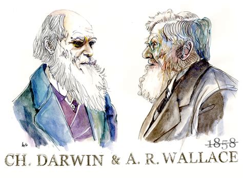 Teoria De Darwin E Wallace