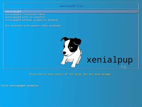 How To Install Puppy Linux To Usb Using Windows Os Puppy Linux Linux