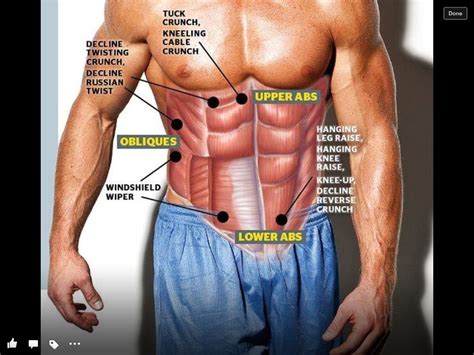 Variety Of Stomach Exercises Upper Abs Muscle Fitness Abdominal