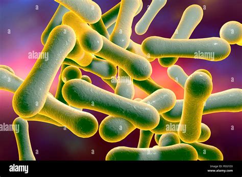 Corynebacterium Diphtheriae Computer Illustration C Diphtheriae Is A