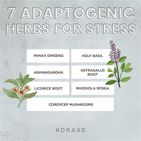 7 Adaptogenic Herbs Or Adaptogens That Help Reduce Stress Dr Axe Adaptogens Adaptogenic