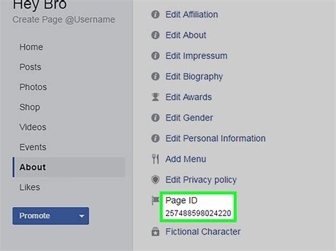Facebook App Id For Page How To Get Your Facebook App Id And Secret