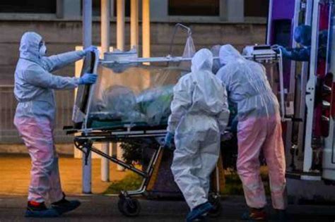 Stop ginnastica, canto, flauto a scuola e jogging su lungomare. Covid 19 Emilia Romagna | Ferrara immune al Coronavirus