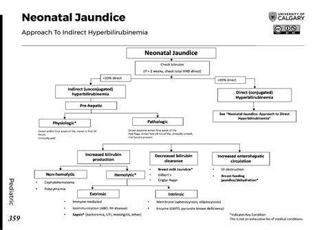 Neonatal Jaundice Approach To Indirect Hyperbilirubinemia Blackbook