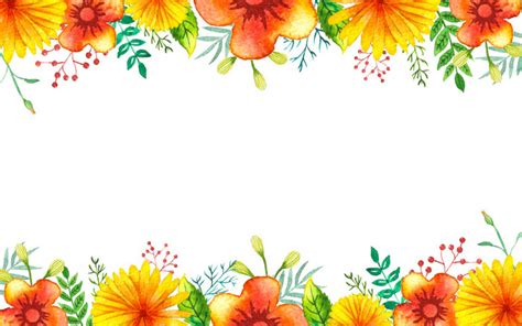 Summer Decorative Flower Frame Border Png Images Psd Free Download
