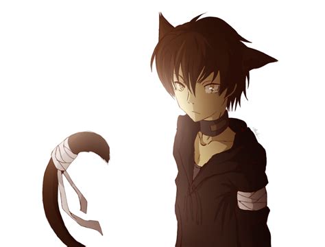 Collection Of Boy And Cat Png Pluspng