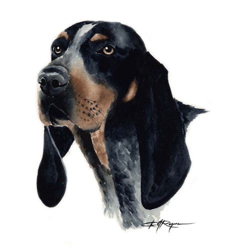 Bluetick Coonhound Dog Art Print Signed By Artist By K9artgallery 12
