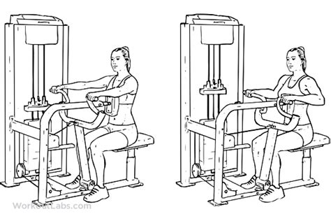 Seated Machine Back Row Workoutlabs