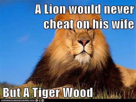 25 Lion Memes That Will Make You Feel Like A King Lion Memes Golf